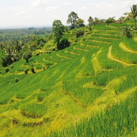 Ubud, Bali