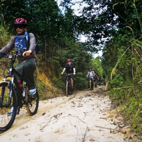 Découverte à vélo de la forêt de Cardamomes