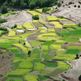 Vallée des roses