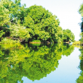 Delta du Danube, Roumanie